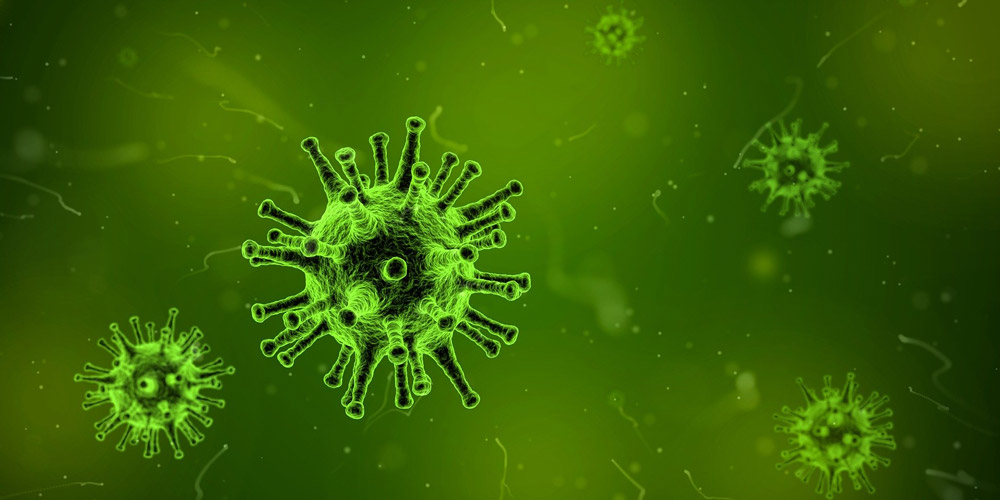 Coronavirus: Digitale Besichtigungen statt Besichtigungen vor Ort