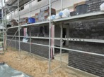 Baufortschritt - Tolle Neubau-DHH: ein Haus ist noch verfügbar.