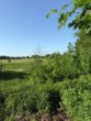 Bild - Hier entsteht Ihr Traumhaus! Ideal in Feldrandlage!