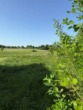 Bild - Hier entsteht Ihr Traumhaus! Ideal in Feldrandlage!